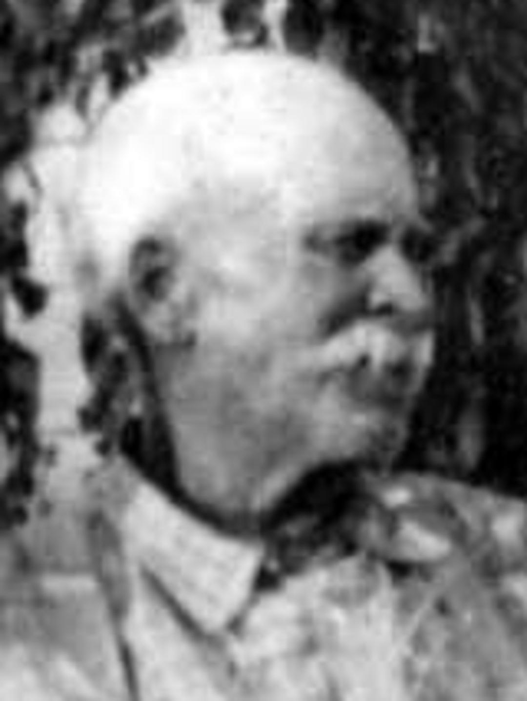 Henry Edward Corless (1843 - 1919) Profile